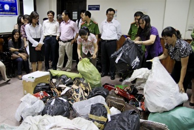 Khoa học công nghệ: Xử lý xâm phạm quyền sở hữu 13Win15 com - Thương hiệu nhà cái uy tín hàng tỉ đồng